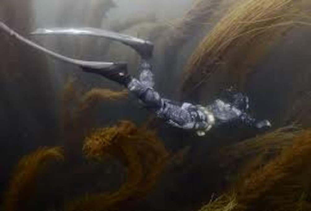 Gite Entre Mer Et Abers Landeda Bagian luar foto