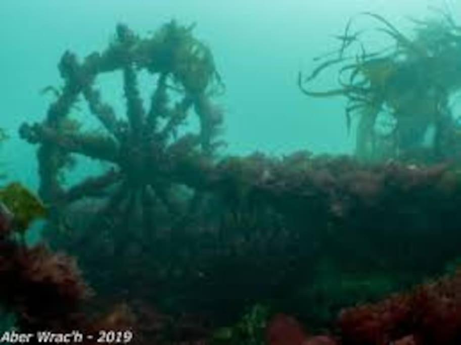 Gite Entre Mer Et Abers Landeda Bagian luar foto