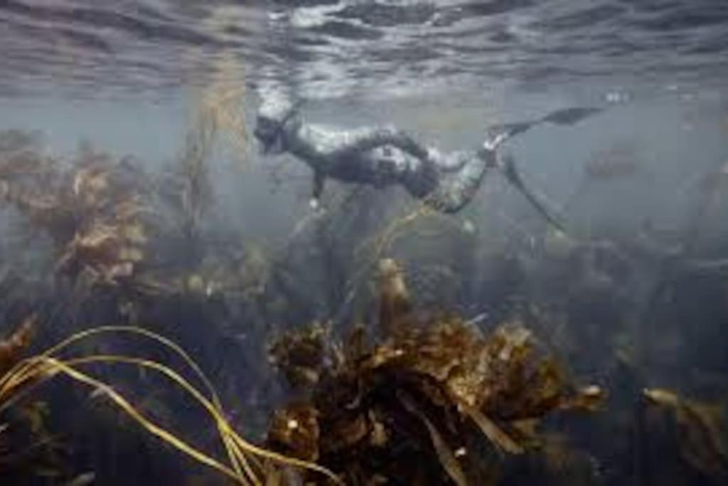 Gite Entre Mer Et Abers Landeda Bagian luar foto