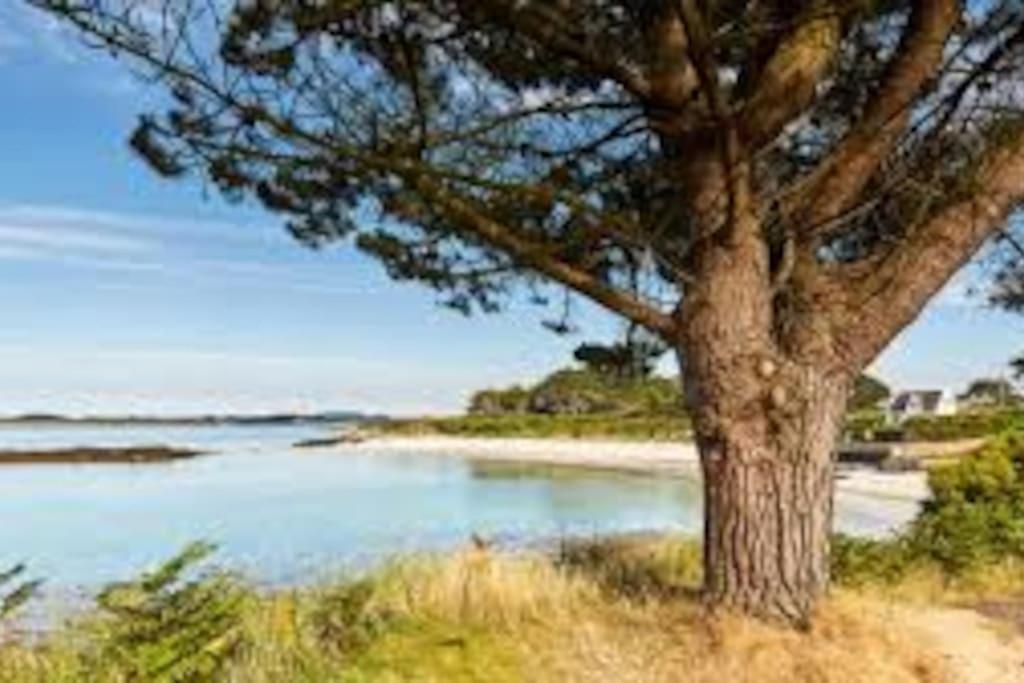 Gite Entre Mer Et Abers Landeda Bagian luar foto