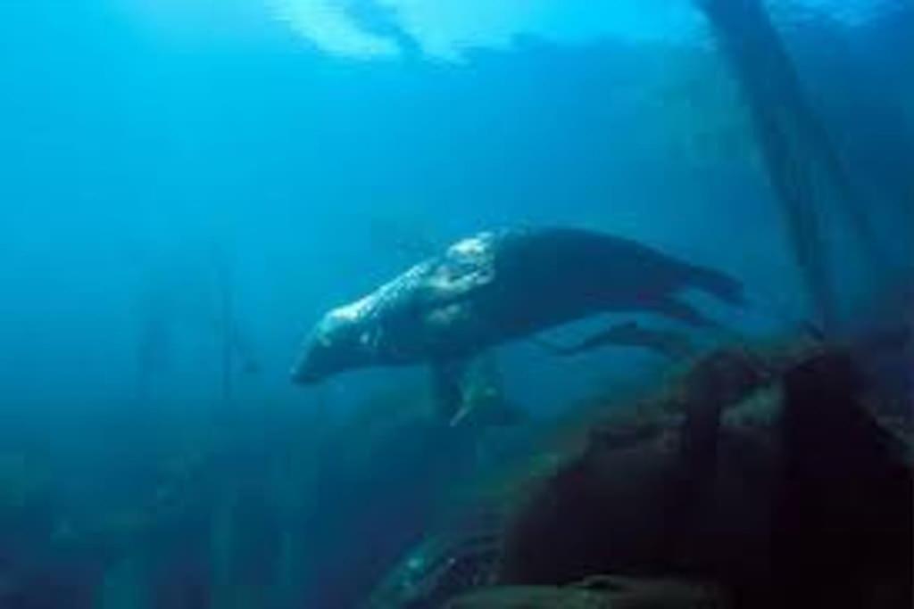 Gite Entre Mer Et Abers Landeda Bagian luar foto